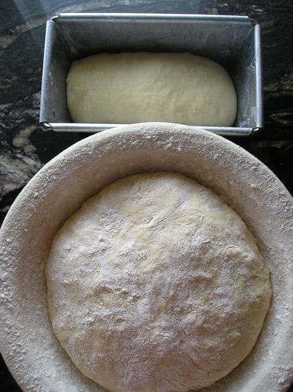 fermentando.JPG