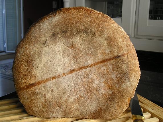 suela.JPG
