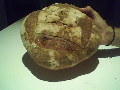 Imagen 008.jpg
