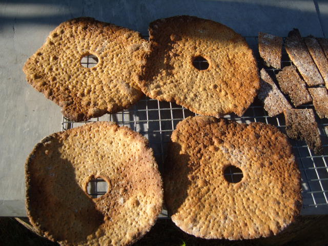 255 4 knäckebröd.JPG