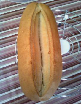 Pan cateto I.jpg