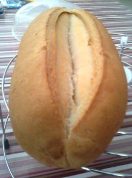 Pan Cateto.jpg