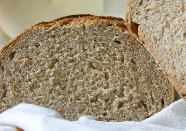 centealcaPE.JPG