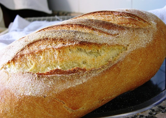 SEMOLINA2peq.JPG