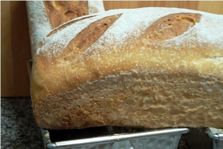 Pain de Mie V1 (2).jpg