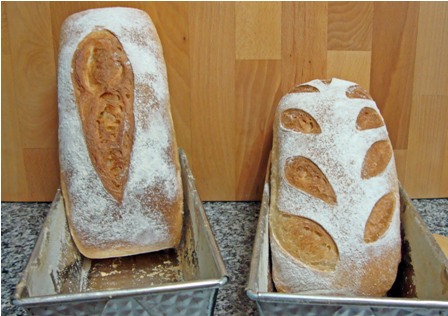 Pain de Mie V1 (1).jpg
