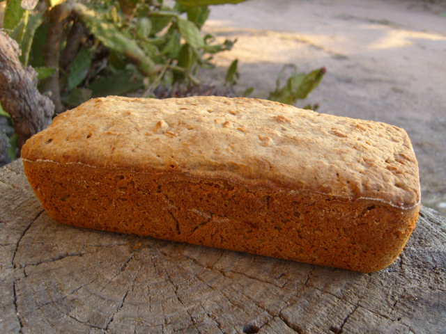 313 sg sarraí i blat de moro.JPG