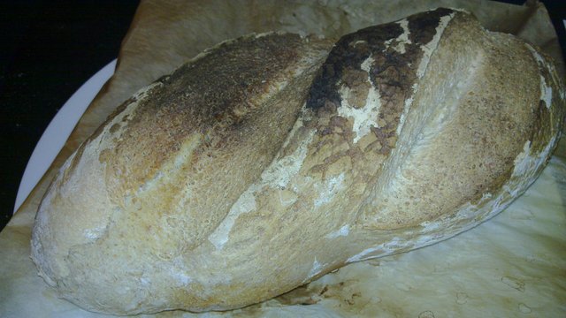 20111111_005.jpg