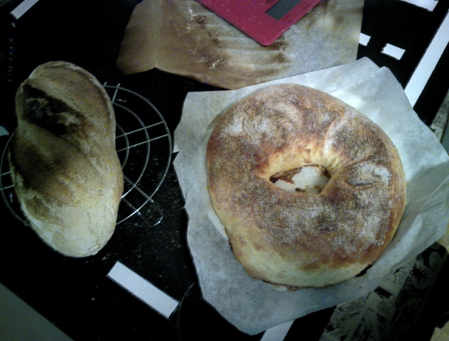 20111111_012b.jpg
