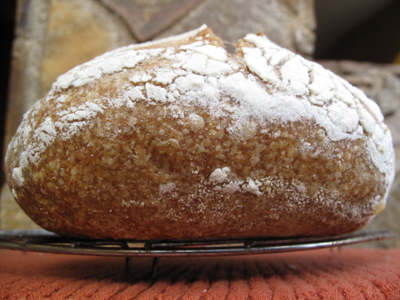 cazuela de espelta, pan en (2).JPG