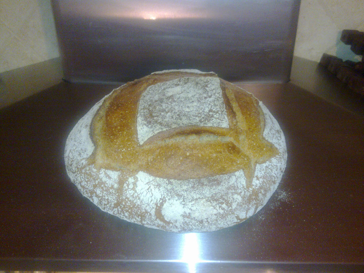 26062010147.jpg