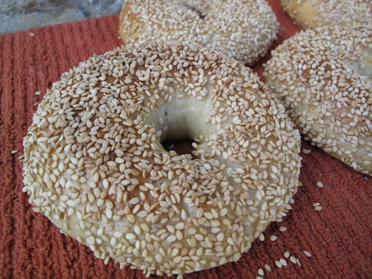 Bagels (2).JPG