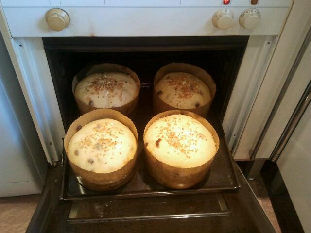 ¡Al horno!