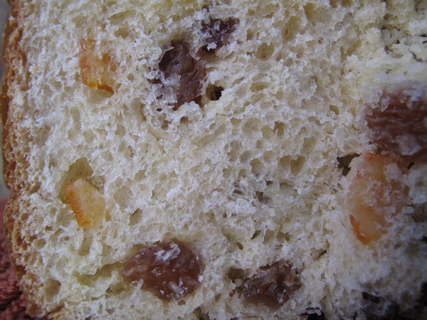 Panettone (12).JPG