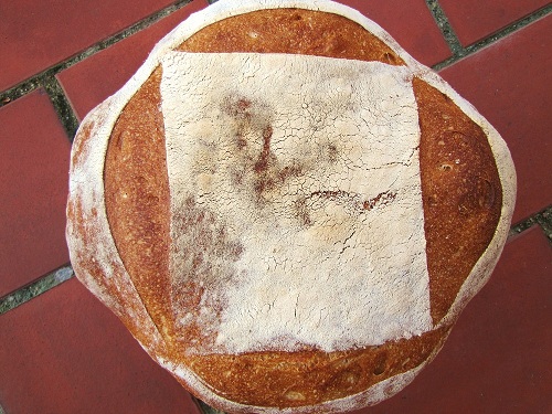 Nuestro primer pan de masa madre.