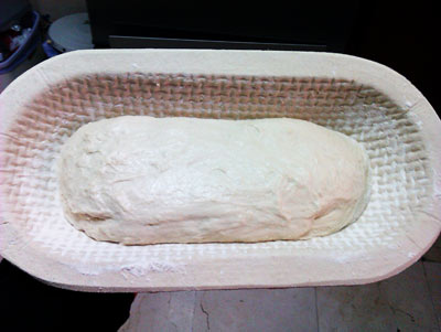 IMAG1168.jpg