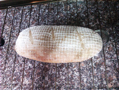 IMAG1170.jpg