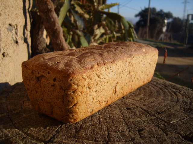 374 Seeded Rye Bread.JPG